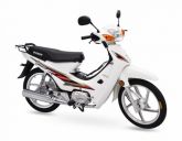 Phoenix 50 cc